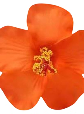 复古橘红色扶桑花发夹氛围感