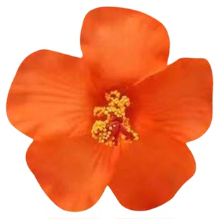 复古橘红色扶桑花发夹氛围感侧边夹花朵头饰波西米亚风拍照发饰女