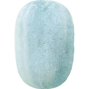 冬瓜种籽特大巨型种白皮种子孑粉皮大农家四季春夏秋瓜果蔬菜种子