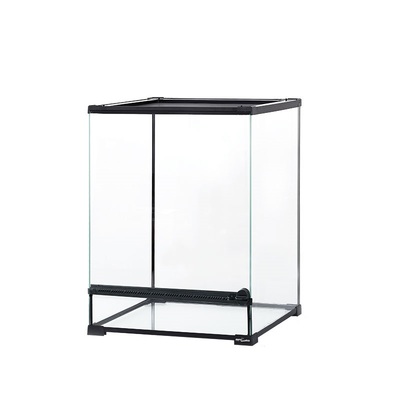 新派宠物reptizoo饲养变色龙蜥蜴