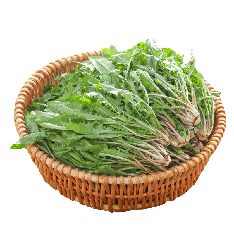 当季蒲公英!蘸酱菜|现挖现发!