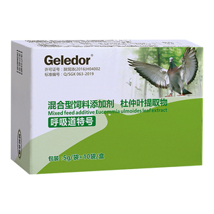 鸽子呼吸道专用张口呼吸红鼻头湿润眼睛红呼吸道特号格莱德非鸽药