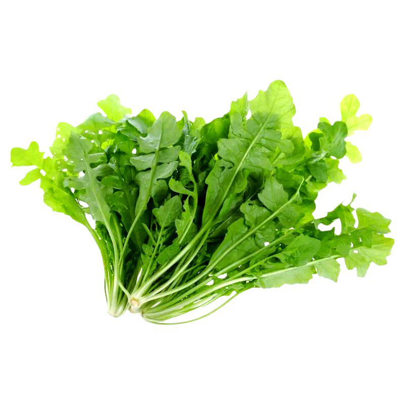 荠菜新鲜现摘现发苏北农家露天蔬菜荠荠菜大叶现挖野菜地菜荠菜馅