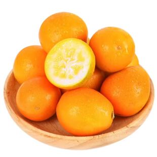 脆蜜金柑广西融安脆蜜金桔新鲜水果当季现摘正宗橘子特产独立包装