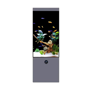2025新款竖形立式鱼缸免换水客厅落地水族箱超白玻璃底过滤带柜子