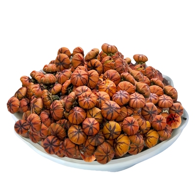 新疆昆仑胎菊头茬泡水喝养生礼盒