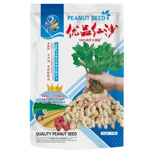 优选红沙花生种子山东农家红衣花生米小粒新种子红皮花生带壳原种