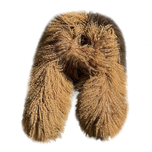 韩国品质滩羊毛围巾双面整皮长款皮草围巾皮草毛领子皮草围脖加厚