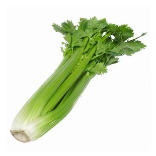四季芹菜苗幼苗小香芹苗大芹菜苗大肉西芹秧苗地栽阳台蔬菜苗种值