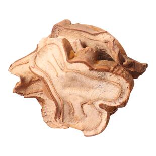 狗脊500克g新货筛选 无硫大片 金毛狗脊狗脊狗脊片无硫中药材包邮