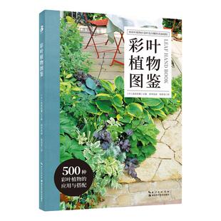 现货 出版社直发  绿手指园艺图书《彩叶植物图鉴》(日) 荻原范雄主编; 药草花园 陆蓓雯译 500种彩叶植物的应用与搭配