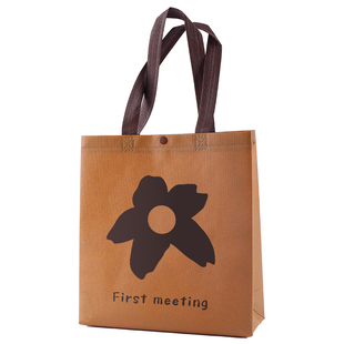 无纺布手提袋衣服包装袋上班通勤杂物帆布袋时尚外出小拎包礼品袋