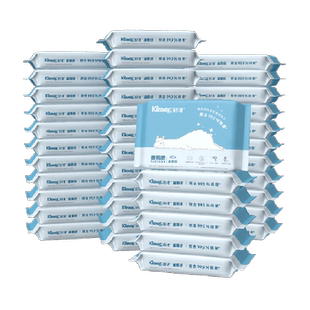 舒洁湿厕纸40抽*40包擦屁股厕纸湿纸巾擦菌湿厕巾洁厕私处专用