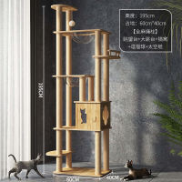 Cat climbing frame, cat bed, cat tree integrated, cat scratch board, sky column, solid wood jump platform, space capsule, cat bed, comprehensive cat supplies thumbnail 3