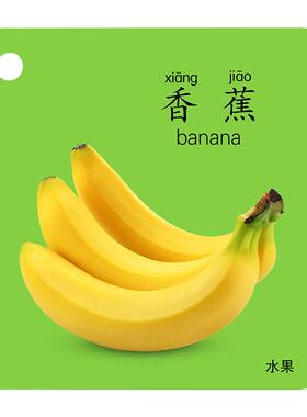 大尺寸认知卡片动物早教启蒙书宝宝婴幼儿礼物儿童益智识字卡玩具