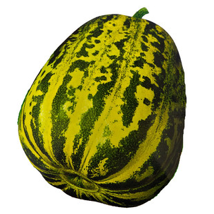 华煜八里香 蔬菜种子 甜瓜种子 甜瓜种子 高产甜瓜香瓜籽春夏季播