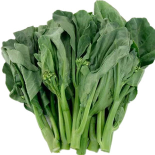 黄花芥兰菜种子广东芥蓝种籽高产蔬菜种孑盆栽介兰菜四季青菜籽