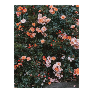 打印冲洗照片海报相片相纸【订单如有相框可能会分开发货】