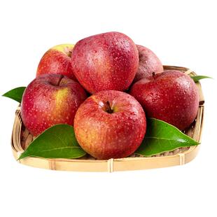 陕西秦冠粉面沙甜苹果新鲜婴儿老人宝宝刮泥9斤平安应季水果整箱