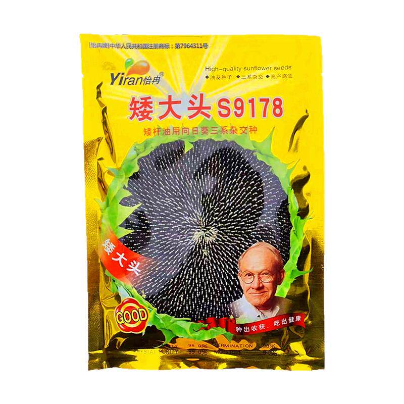 油葵种子优质高产抗病早熟出油高