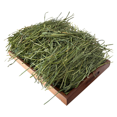 三种草可选！！兔子专用提摩西草