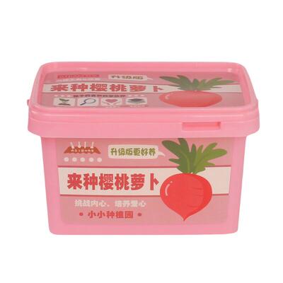 小学生手提种植小盆栽儿童伴手礼
