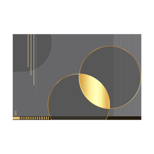 入户门地垫硅藻泥吸水免洗可擦裁剪门垫2025新款地毯门口进门脚垫