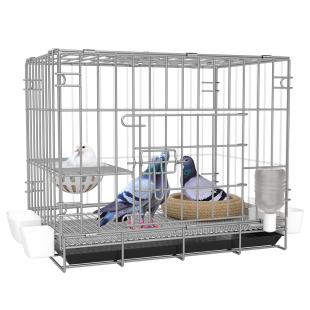 鸽子笼家用养鸽子专用笼繁殖笼养殖笼配对大号鸽舍鸽子笼子鸽子窝