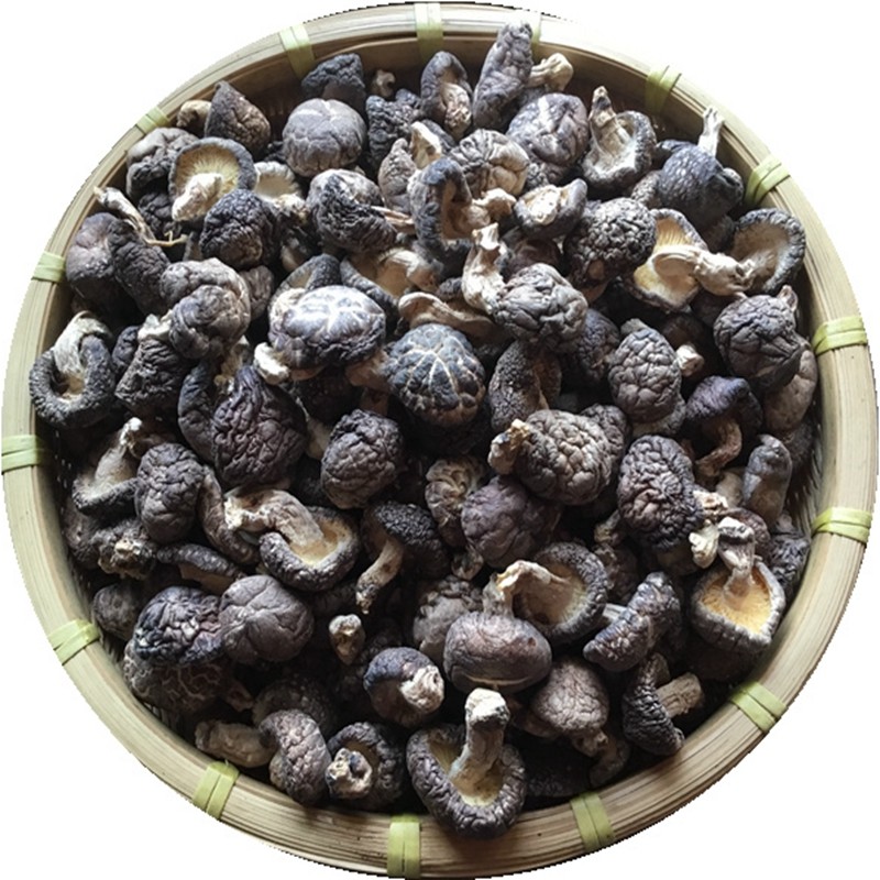 椴木小香菇干货500g野外生长木头香菇湖北农家树菇特小蘑茹厚冬菇