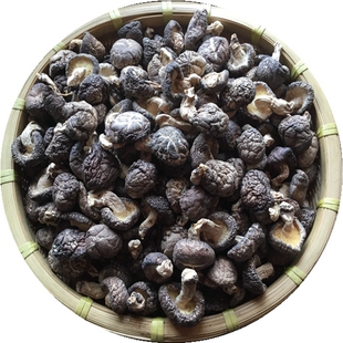 椴木小香菇干货500g野外生长木头香菇湖北农家树菇特小蘑茹厚冬菇