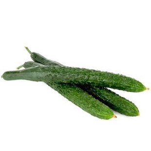 黄瓜种子嫁接黄瓜苗强雌耐热水黄瓜种籽青瓜油亮绿瓤短把卓越一号