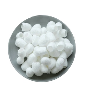 天然美容桑蚕茧壳带蛹洗脸指套泡茶喝抽丝药用蚕茧球壳泡水喝蚕壳