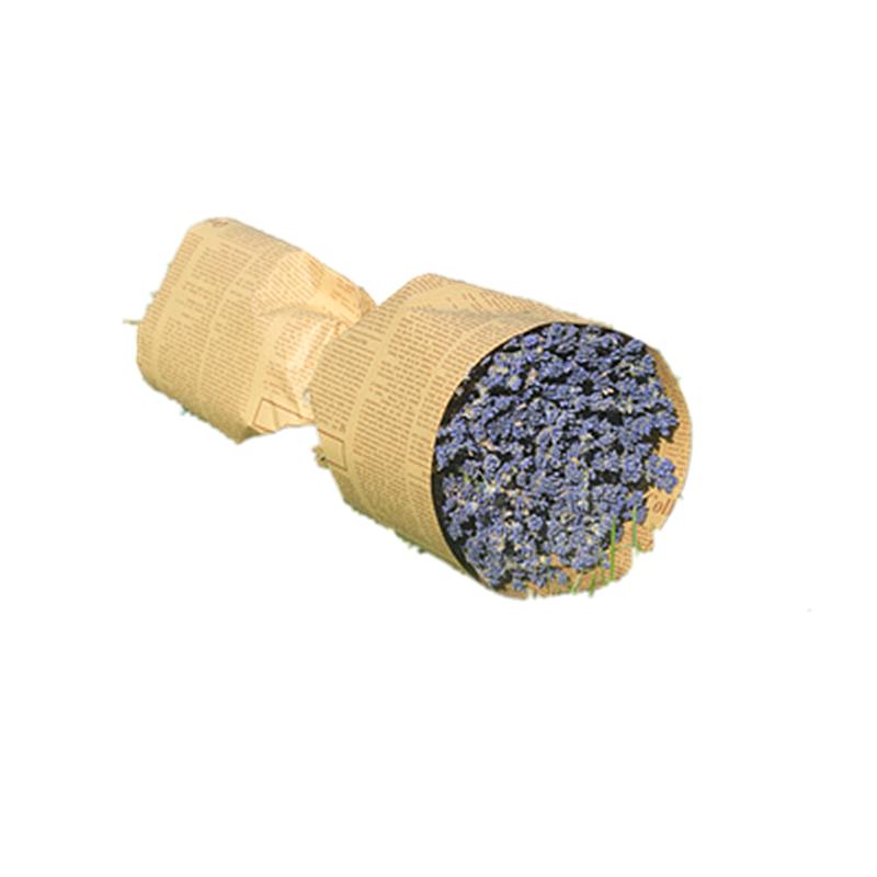 薰衣草干花真花花束永生花礼物