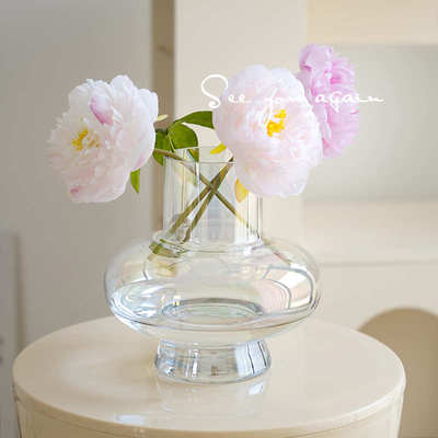 高级感ins风简约大肚灯笼花瓶玻璃轻奢透明水养插花装饰客厅摆件