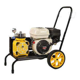 进口汽油喷涂机高压无气乳胶漆外墙涂料柴油喷漆机油漆冷喷划线机