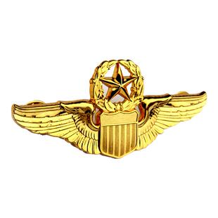 美式将官上将士官军衔金属徽章标领花领章领徽船帽帽徽肩章勋章