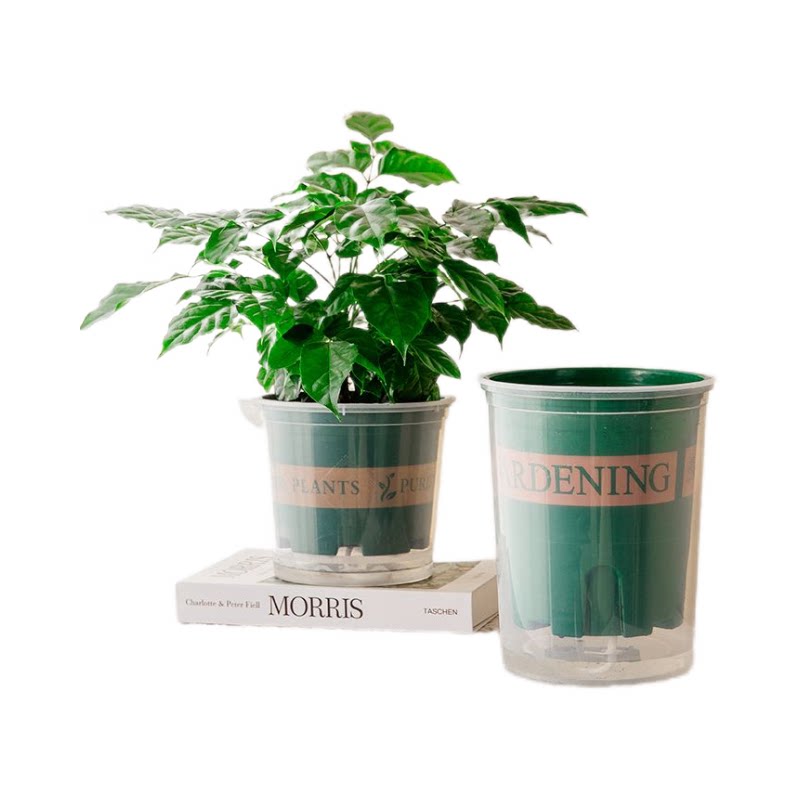 懒人自动吸水透明塑料绿萝花盆