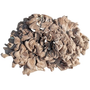 干巴菌灰树花云南特产干货山珍精选香菇特级正品保障包邮云南菌子