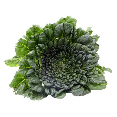 美农汇中八叶乌塌菜小青菜种子