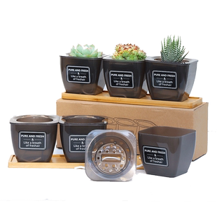 网红方形半透黑自吸水懒人多肉组合花盆加厚树脂桌面仙人掌大口径