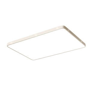 客厅主灯2025新款现代简约超薄全光谱护眼led吸顶灯广东中山灯具