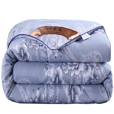 加厚保暖空调双人冬季丝棉被