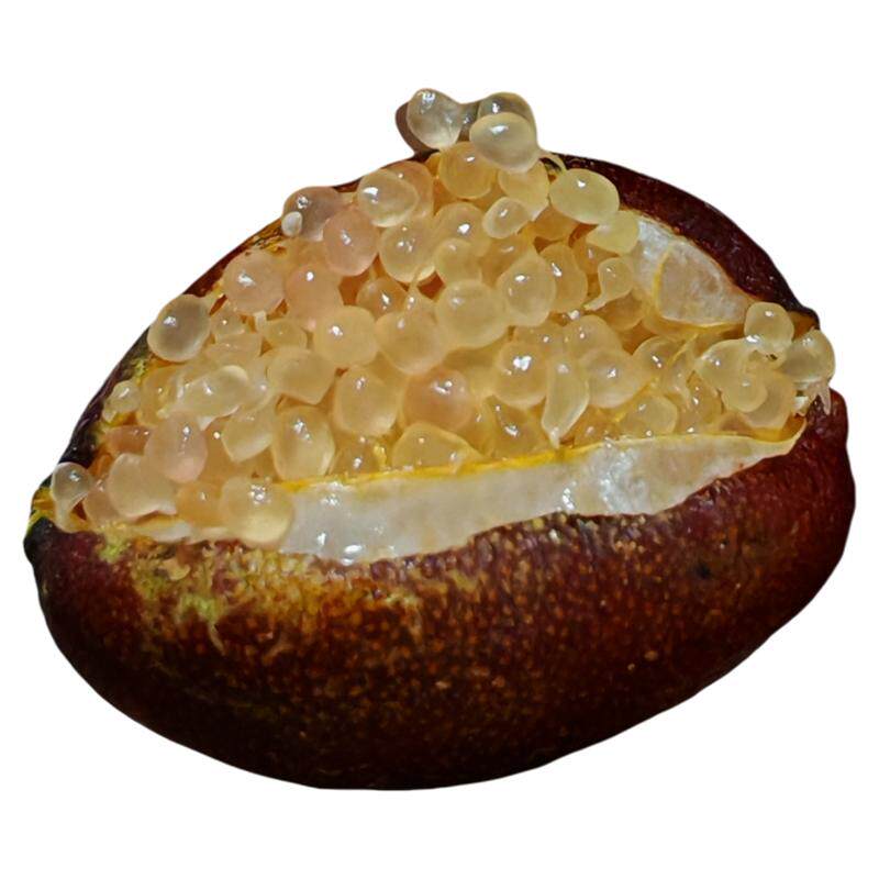 川芯鲜黄粉色手指柠檬指橙