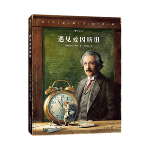 浪花朵朵正版现货 传奇小鼠冒险系列 遇见爱因斯坦 飞鼠传奇 7-10岁 托本库曼全新力作 物理科学家图画故事 儿童文学绘本 后浪童书