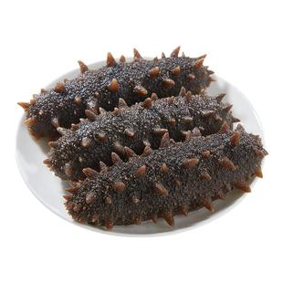 海参即食大连鲜食鲜活深海辽参野生海生刺参500g特价旗舰礼盒商用