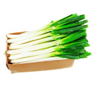 正宗山东章丘铁杆大葱新鲜现挖蔬菜东北大葱甜葱蘸酱特产批发包邮