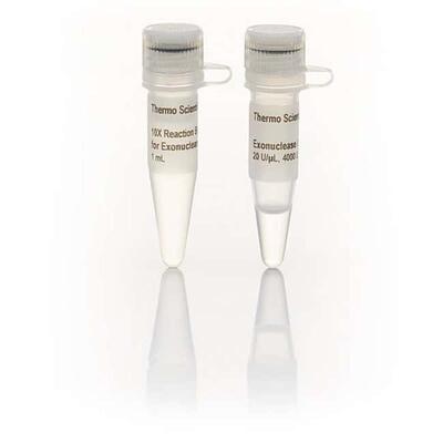 Exonuclease I (20 U/µL)thermofisher上海生物网EN0581