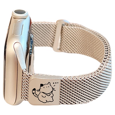 宝壳趣适用iwatch磁吸表带