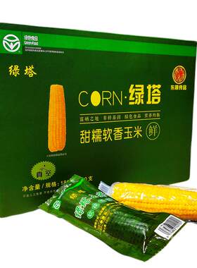 东北甜糯粘玉米绿塔玉米黏苞米