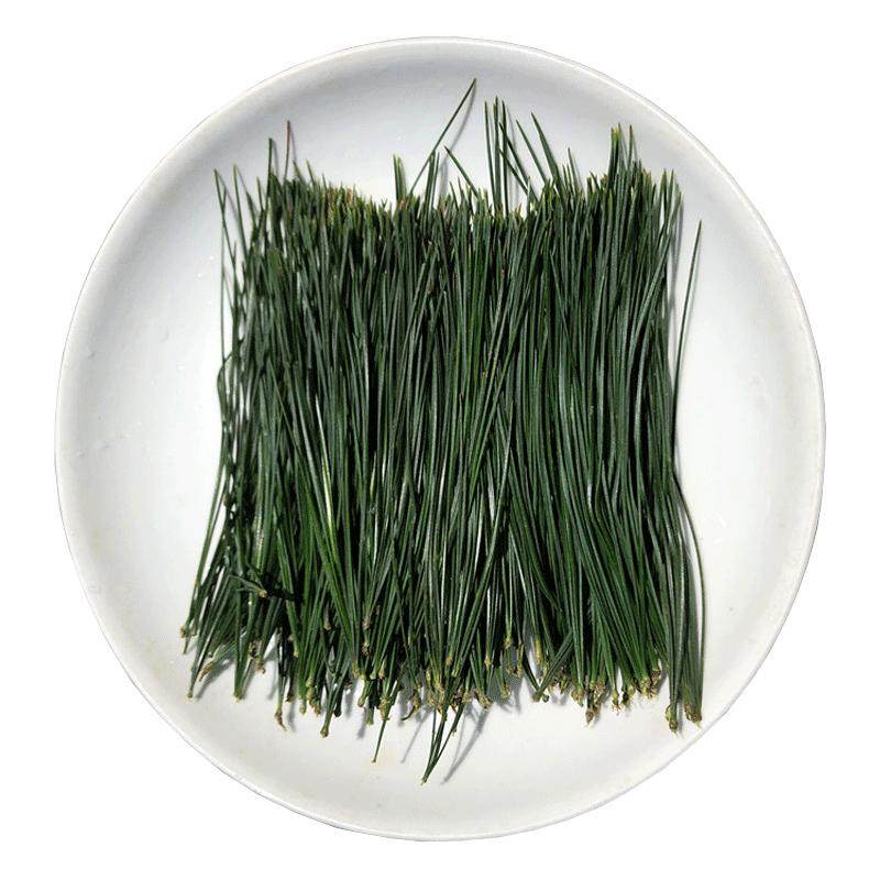 东北长白山鲜松针现采摘500g